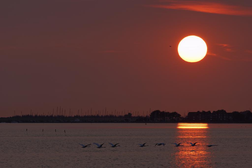 Haus Achtern Diek In Erster Reihe Am Meer Fehmarn Dış mekan fotoğraf